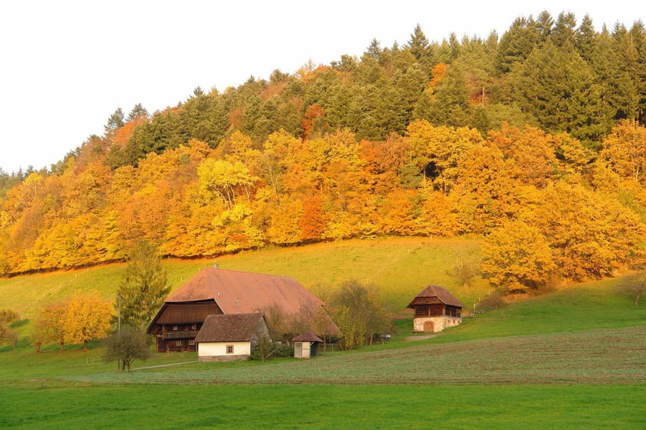 Schwarzwaelder Ferienwohnungen Seelbach  Luaran gambar