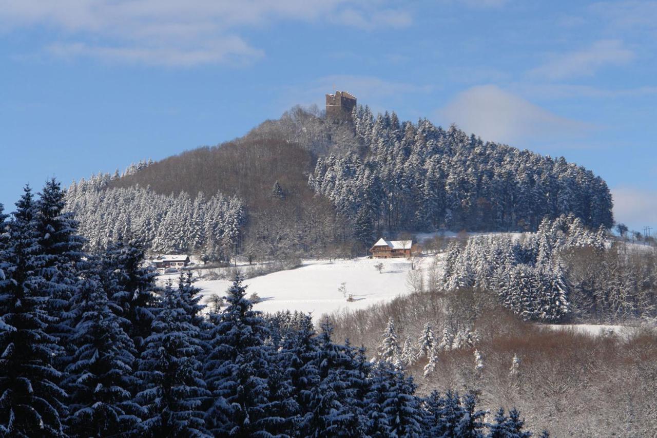 Schwarzwaelder Ferienwohnungen Seelbach  Luaran gambar