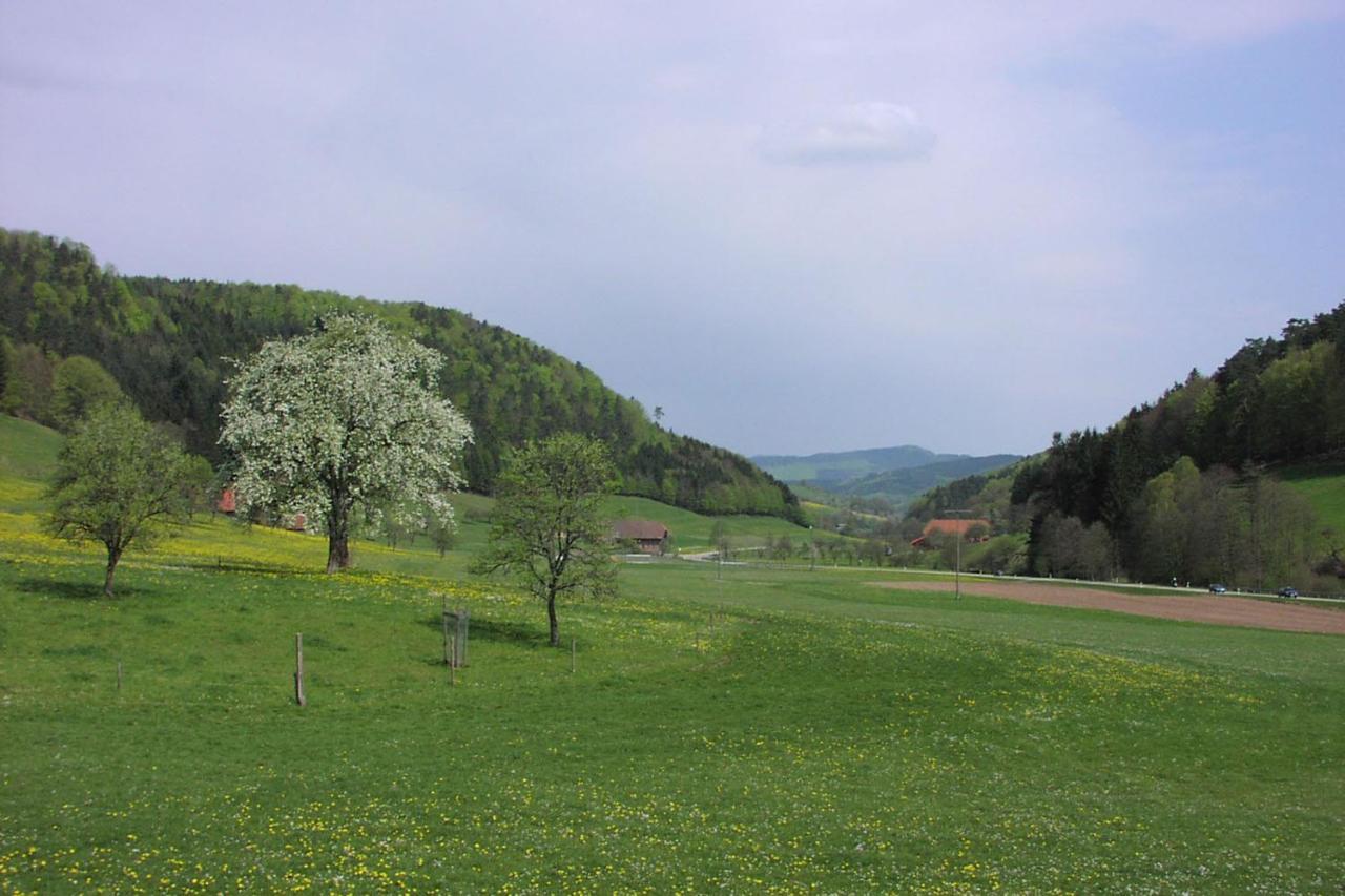 Schwarzwaelder Ferienwohnungen Seelbach  Luaran gambar