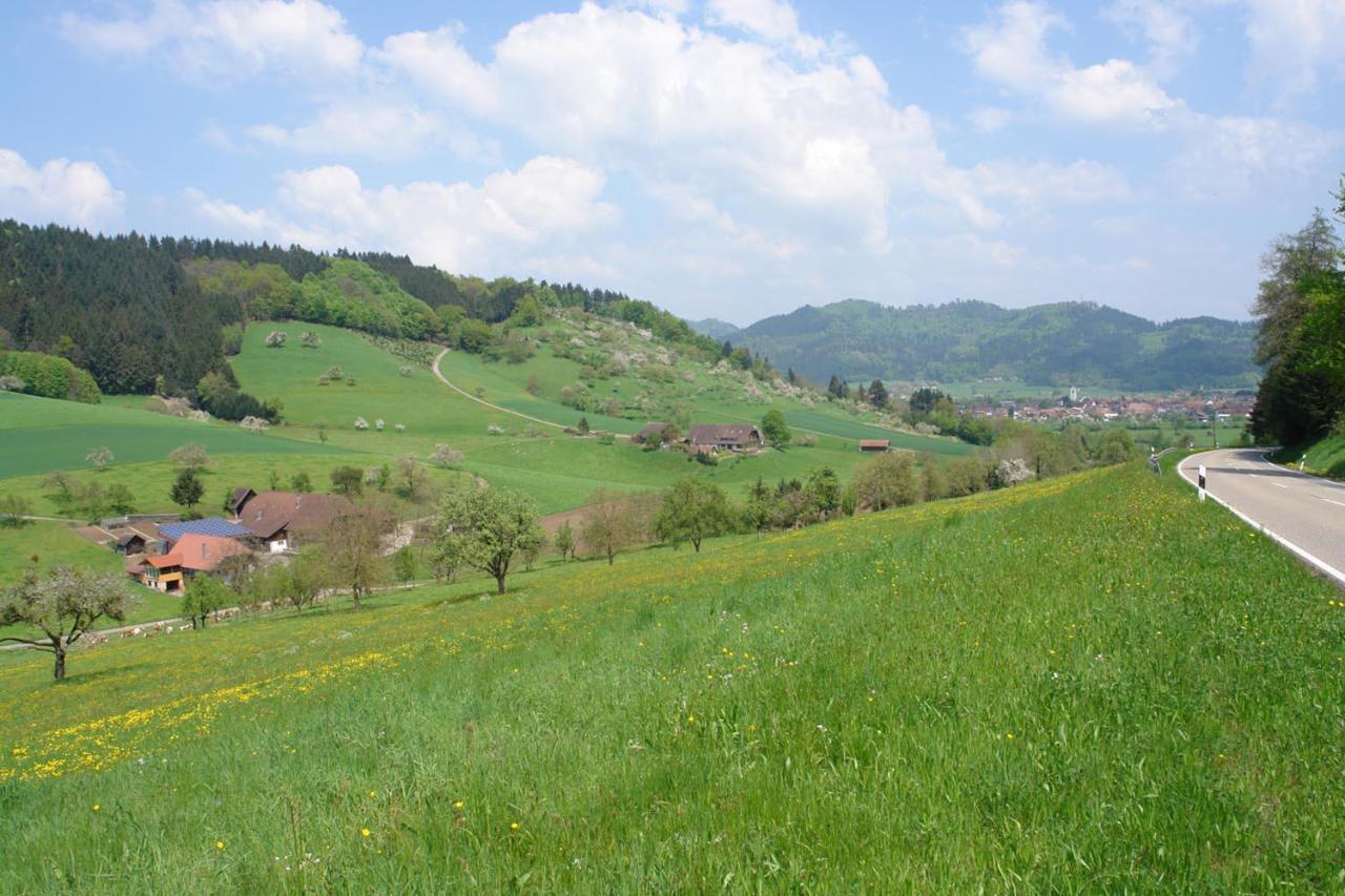 Schwarzwaelder Ferienwohnungen Seelbach  Luaran gambar