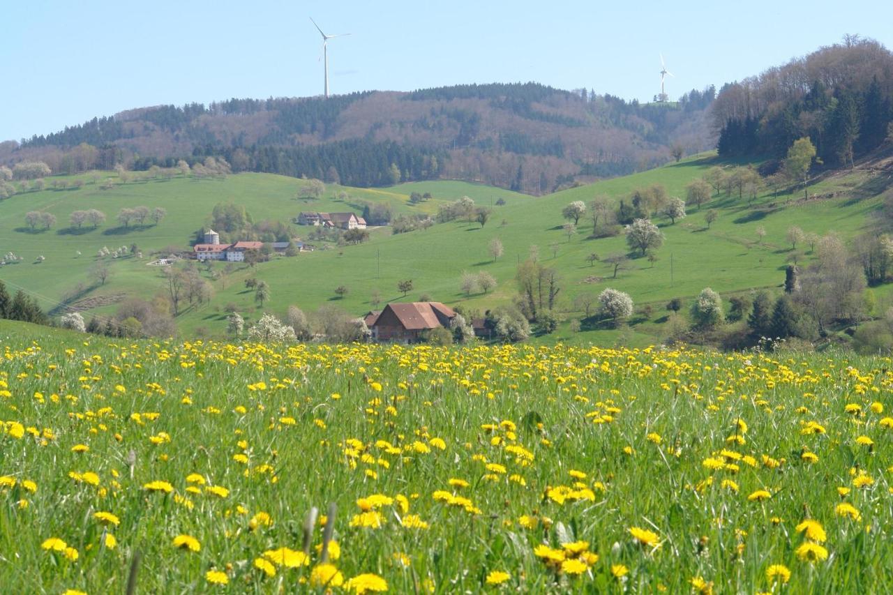 Schwarzwaelder Ferienwohnungen Seelbach  Luaran gambar