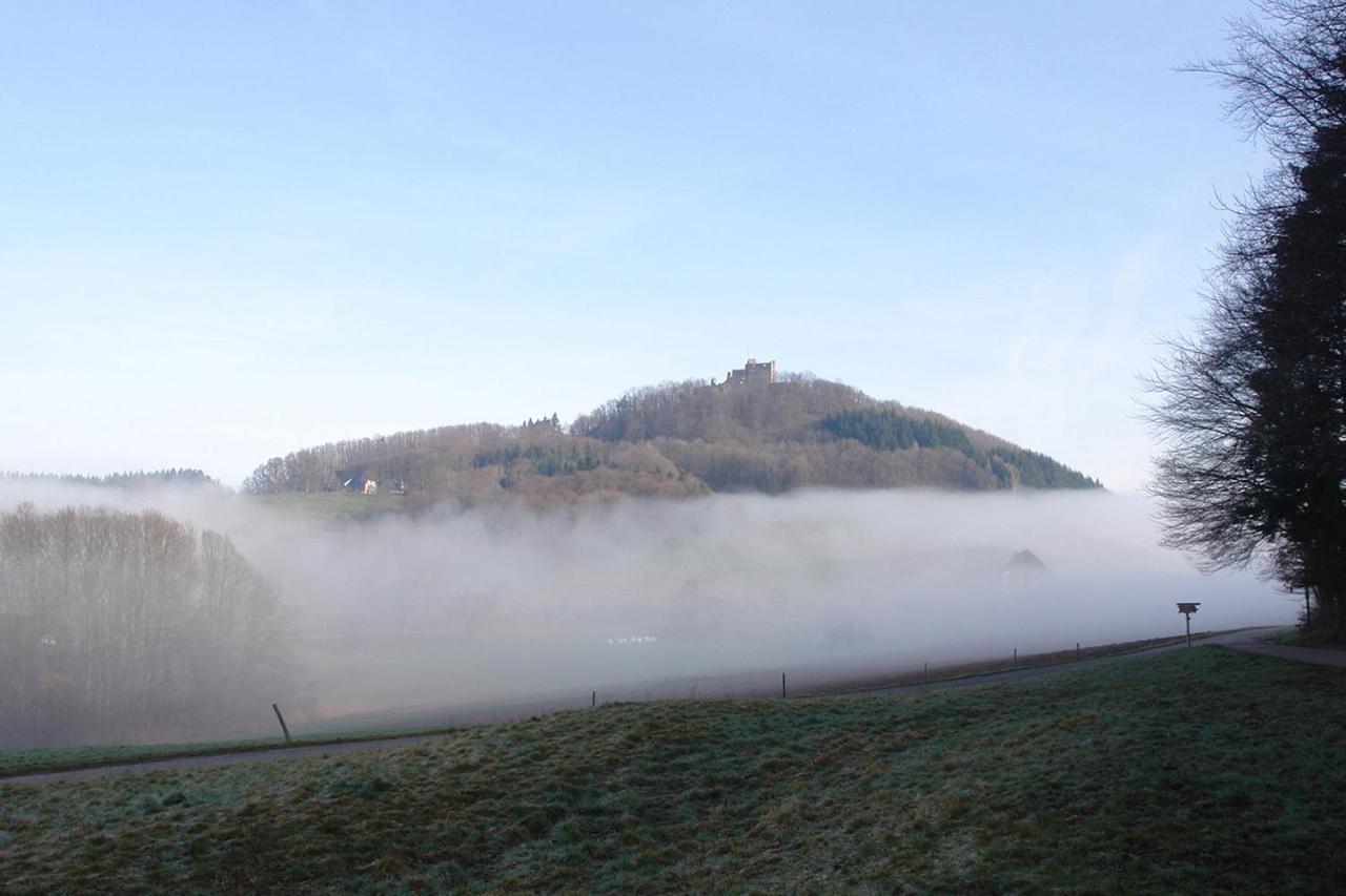 Schwarzwaelder Ferienwohnungen Seelbach  Luaran gambar